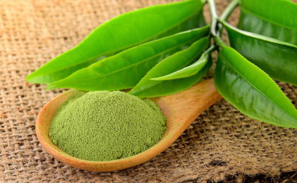 Green tea powder mounded on a wooden spoon with fresh tea leaves on a burlap surface