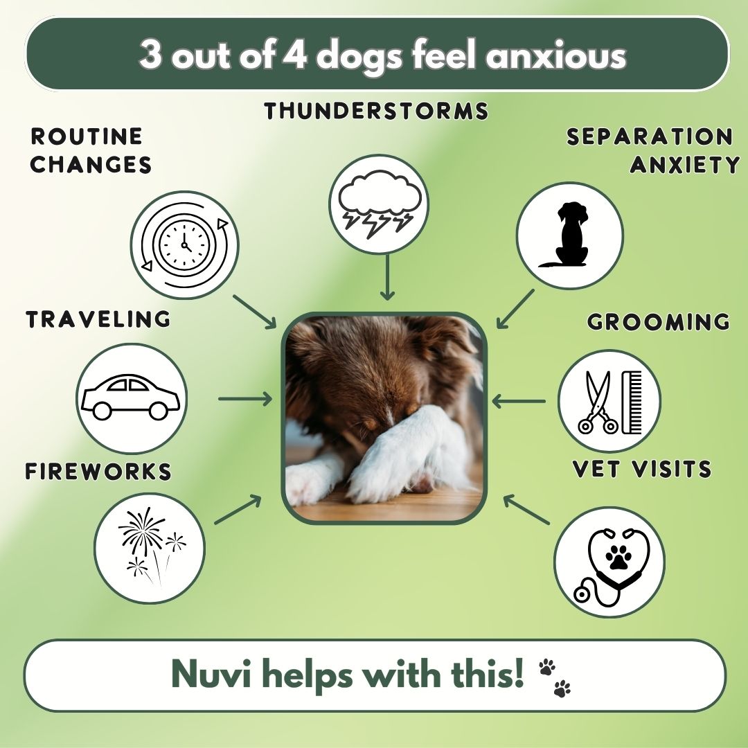 Nuvi — Dog Anxiety Info